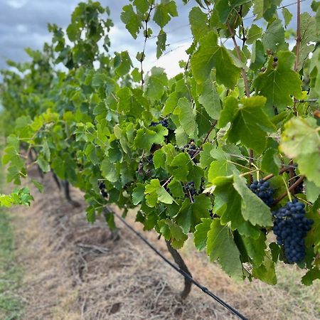 Bracken Ridge Vineyard The Entire Estate روثبري المظهر الخارجي الصورة