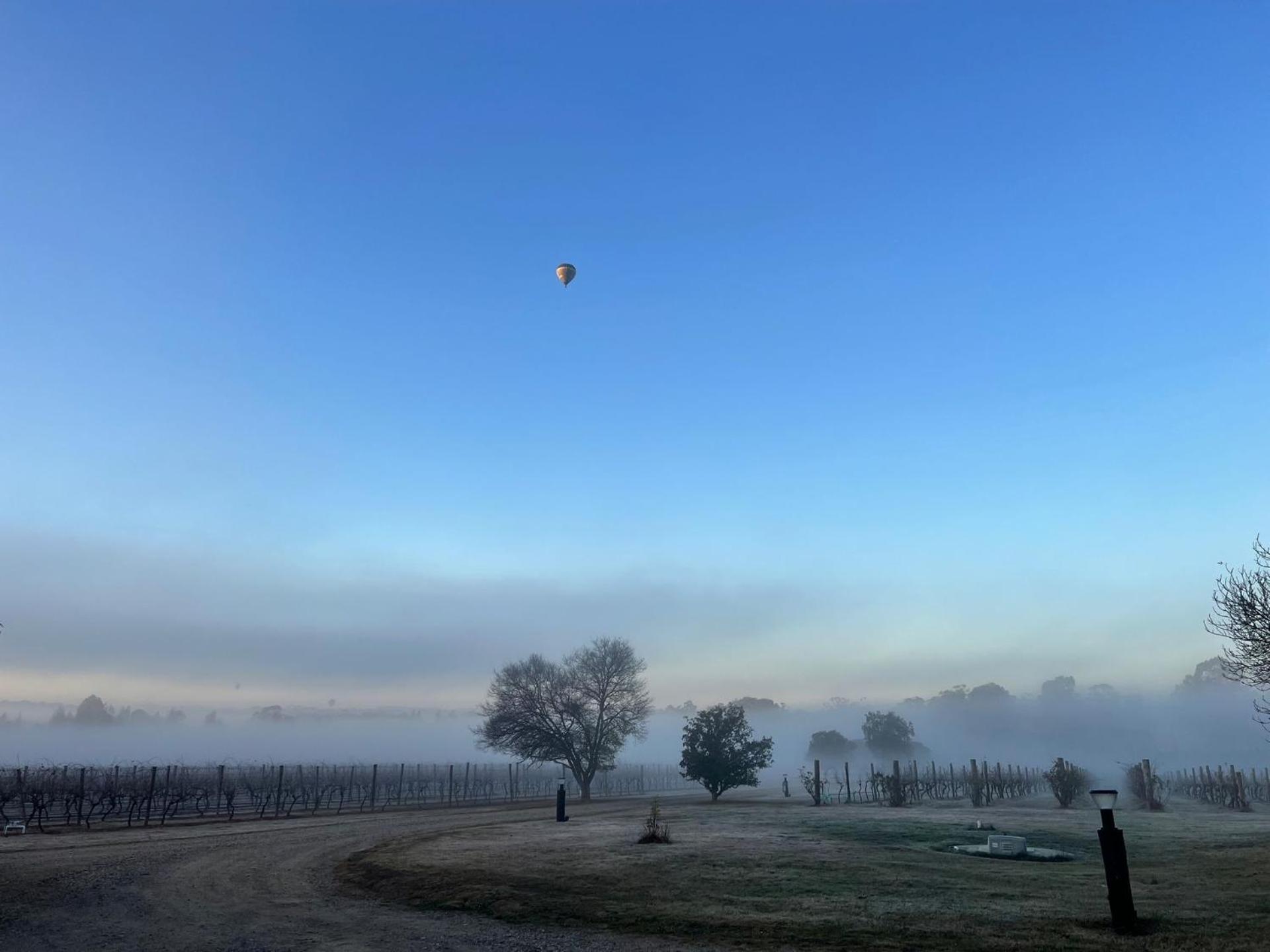 Bracken Ridge Vineyard The Entire Estate روثبري المظهر الخارجي الصورة