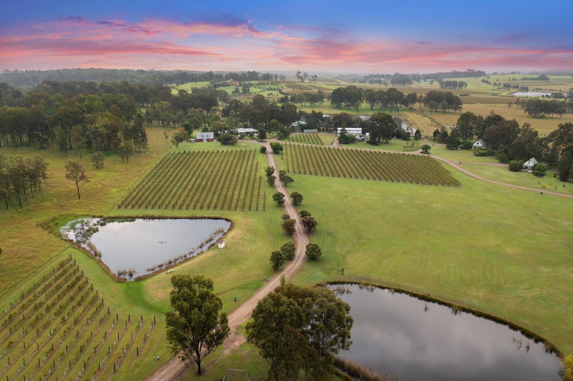 Bracken Ridge Vineyard The Entire Estate روثبري المظهر الخارجي الصورة