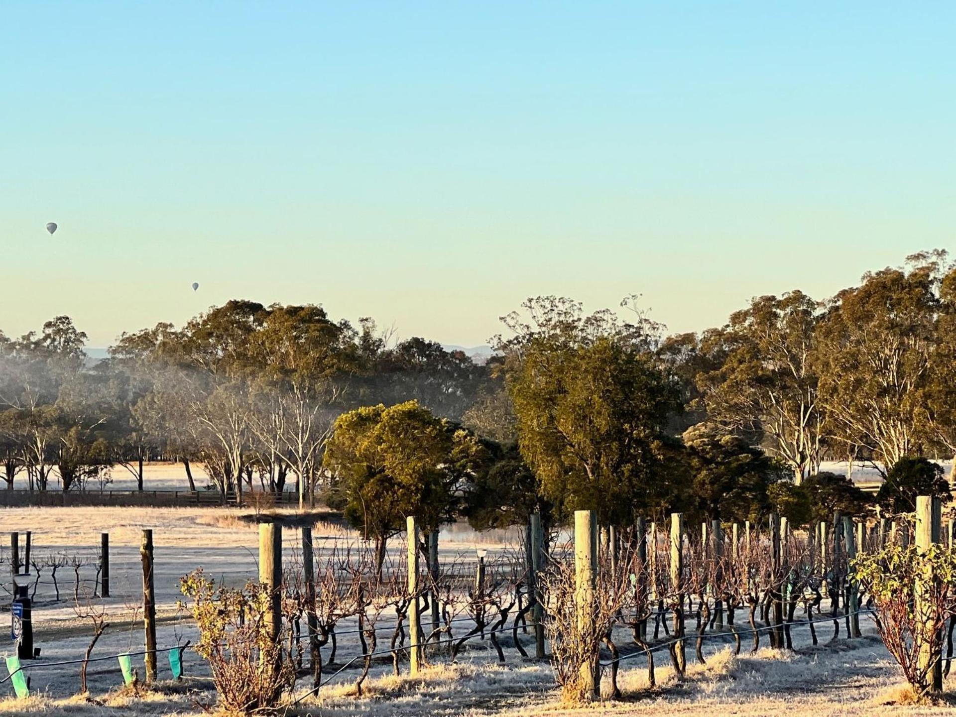 Bracken Ridge Vineyard The Entire Estate روثبري المظهر الخارجي الصورة
